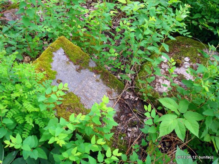  - Cmentarz stary katolicki. 