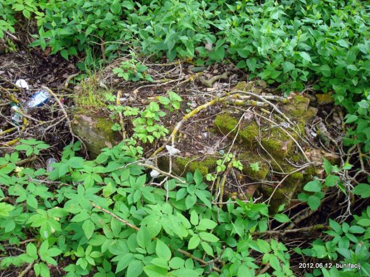  - Cmentarz stary katolicki. 