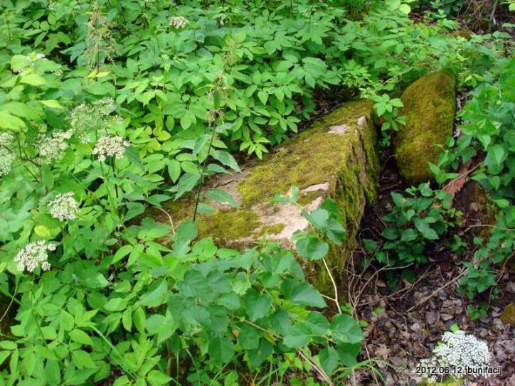  - Cmentarz stary katolicki. 