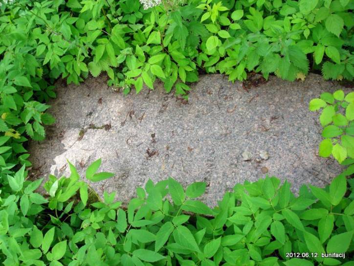  - Cmentarz stary katolicki. 