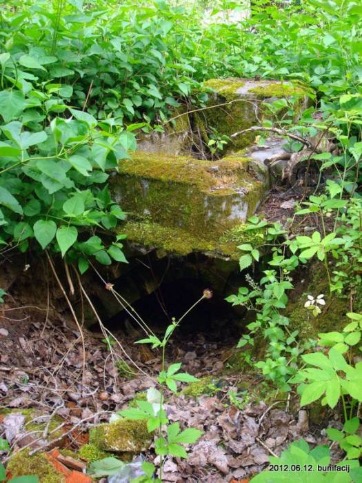 Uszacz. Cmentarz stary katolicki