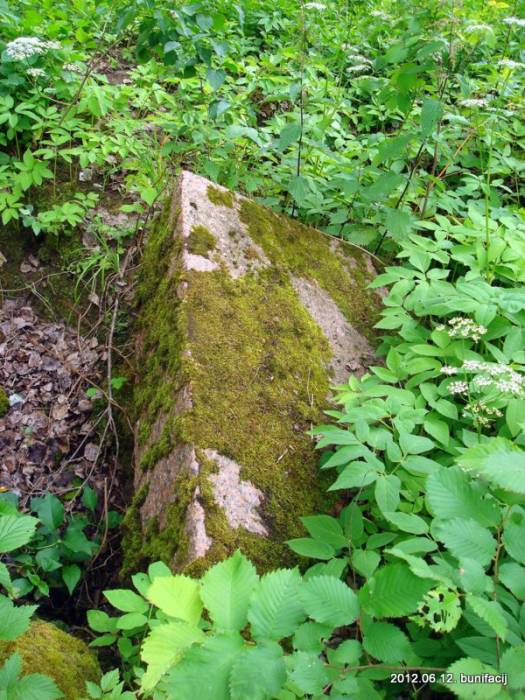  - Cmentarz stary katolicki. 