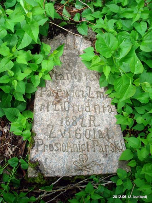  - Cmentarz stary katolicki. 