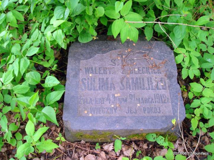  - Cmentarz stary katolicki. 