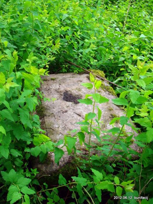  - Cmentarz stary katolicki. 