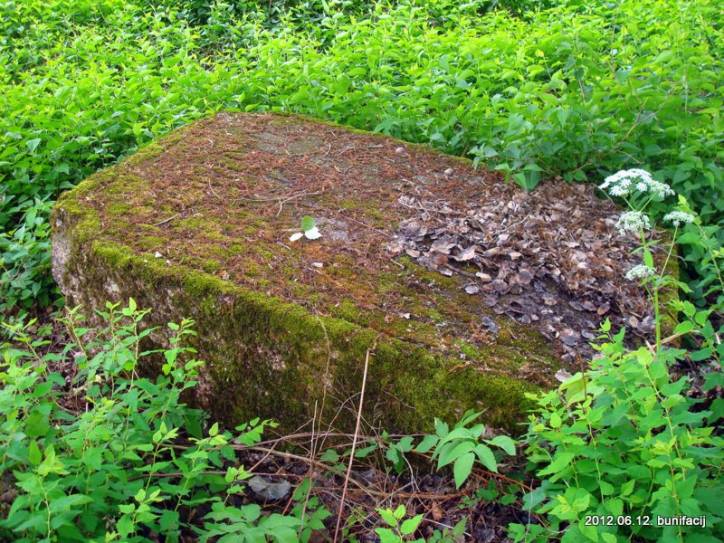  - Cmentarz stary katolicki. 