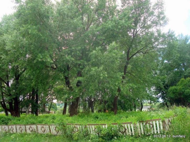  - Cmentarz stary katolicki. 