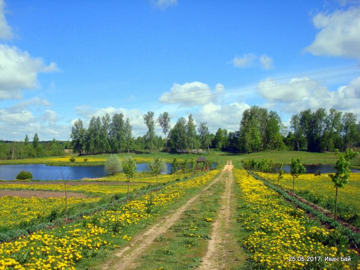  - Landscapes . 