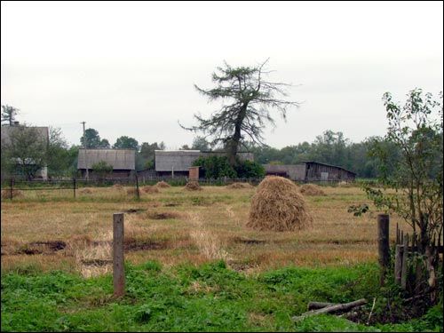 Sarja. Landscapes 