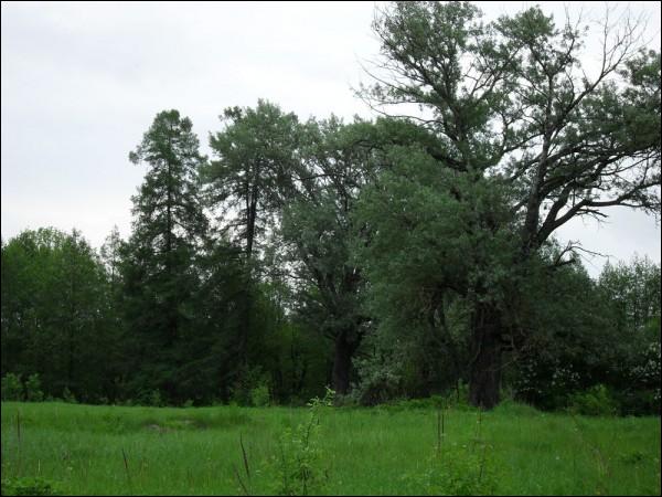Чырвоны Двор. Прысядзібны парк 