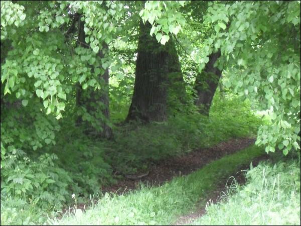 Чырвоны Двор. Прысядзібны парк 