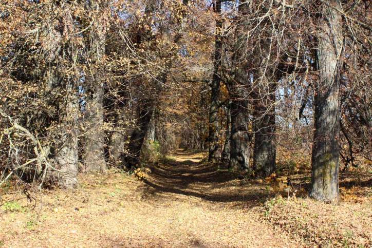 Чырвоны Двор. Прысядзібны парк 