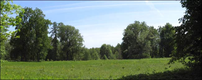 Чырвоны Двор. Прысядзібны парк 