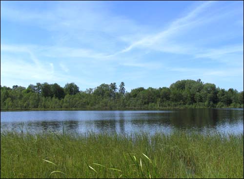 Чырвоны Двор. Прысядзібны парк 