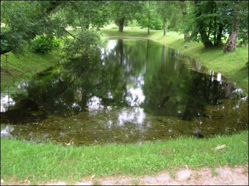  - Усадебно-парковый ансамбль Репиных. 