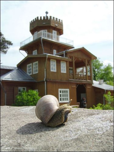 Здравнево (Койтово). Усадебно-парковый ансамбль Репиных