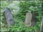 Witebsk.  Cmentarz żydowski