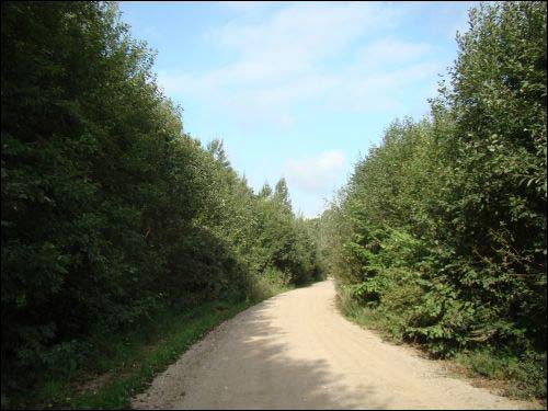 Miluńce (Pelikany). Krajobrazy 