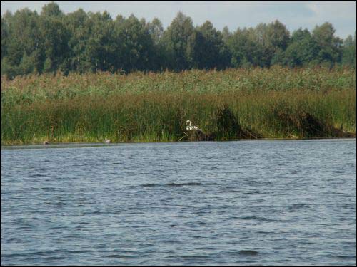 Miluńce (Pelikany). Krajobrazy 