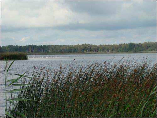 Miluńce (Pelikany). Krajobrazy 