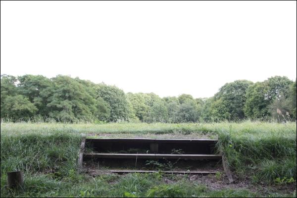  - Manor park . Symbolic entrance to the manor
