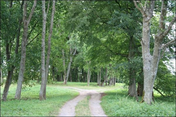 Justianów (Vainežeris). Park dworski 