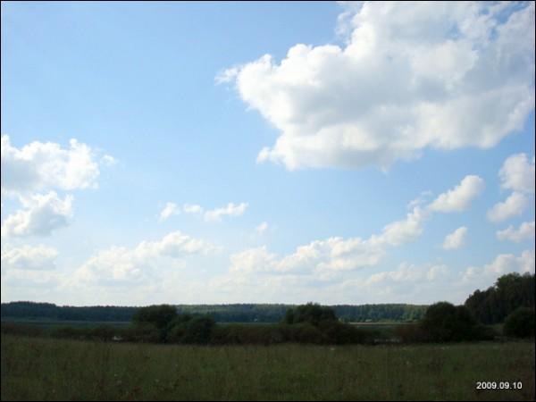  - Краявіды . 