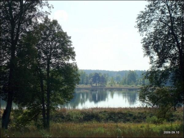  - Краявіды . 