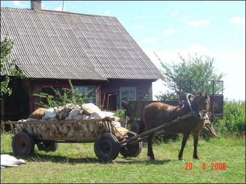 Dieveniškės. Landscapes 