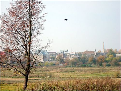  - Улицы города . Вид на город