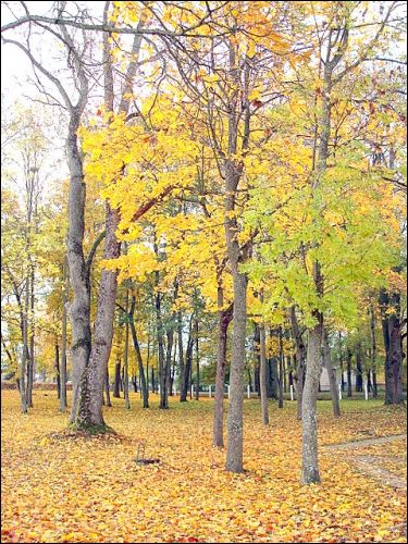 Šalčininkai. Estate of Wagner