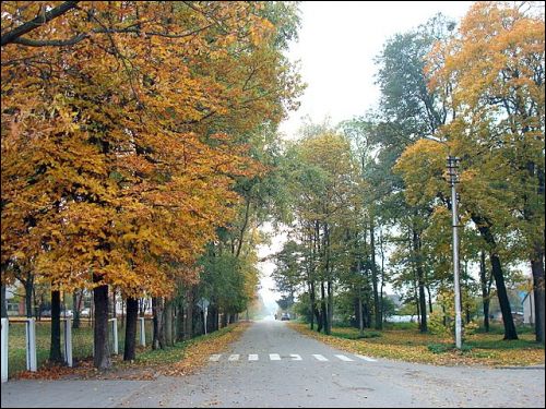 Šalčininkai. Estate of Wagner