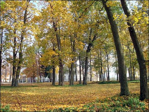 Šalčininkai. Estate of Wagner