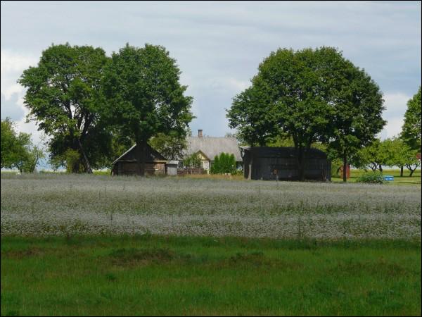  - Landscapes . 