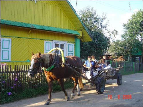 Žižmai. Landscapes 