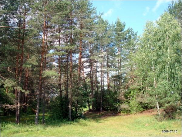 Балин Городок (Балинградас). Пейзажи 