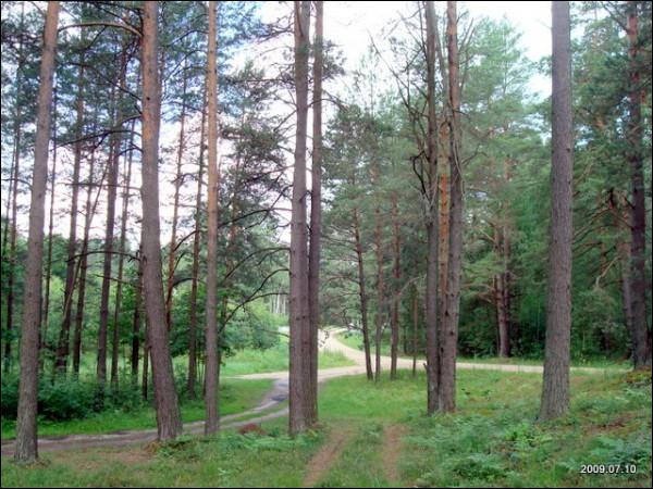 Балин Городок (Балинградас). Пейзажи 