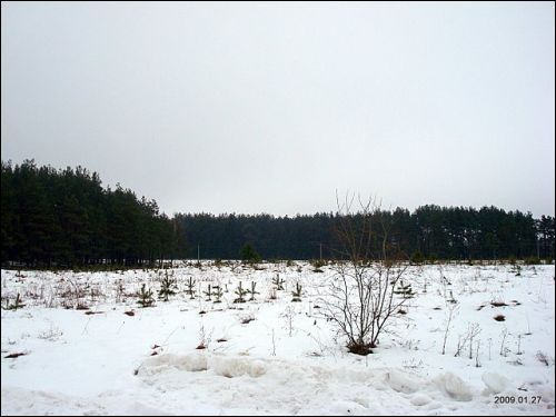 Rūdiškės |  Landscapes . 