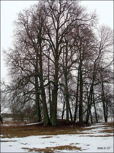 Troki Stare. Kościół i klasztor Benedyktynów