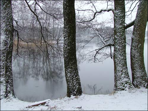 Trakai. Landscapes 
