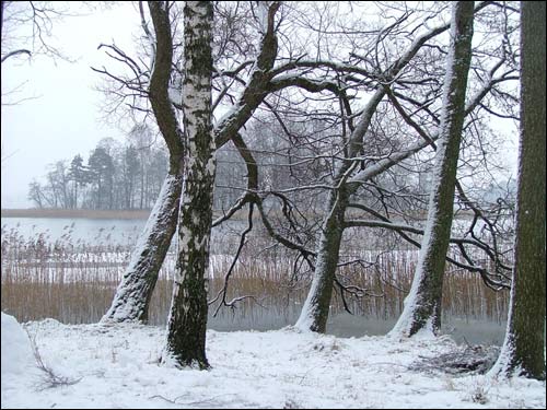 Trakai. Landscapes 