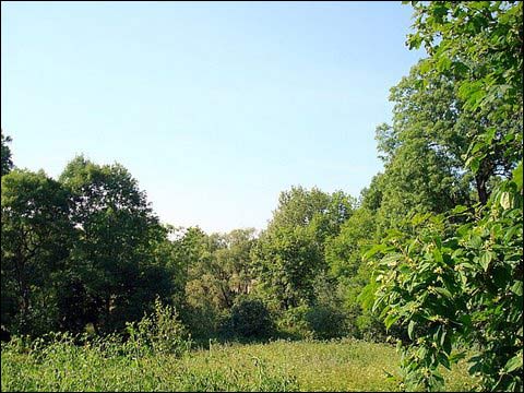  - Manor . 
