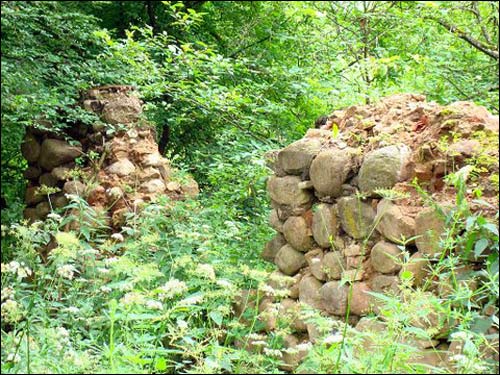 Biała Waka. Zespół pałacowo-parkowy Łęskich