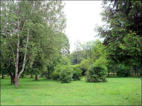 Biała Waka. Zespół pałacowo-parkowy Łęskich