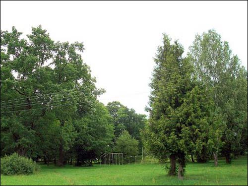 Biała Waka. Zespół pałacowo-parkowy Łęskich