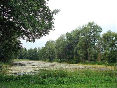 Biała Waka. Zespół pałacowo-parkowy Łęskich