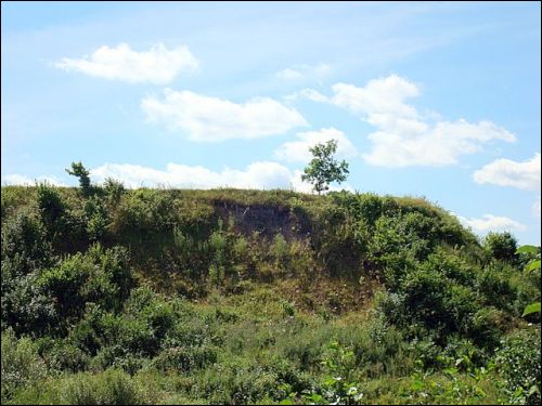 Bradeliškės.  Site of ancient settlement 