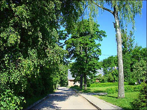 Bukiškis. Landscapes 
