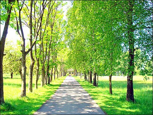 Giejsiškės. Landscapes 