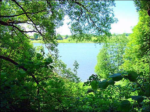 Giejsiškės. Landscapes 